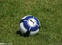 阴阳师桃花,妖新皮肤活,动免费兑换,博彩网站,博彩平台排行榜