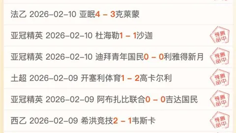 2025新春“游购乡村行”：寻宝乡村，共享佳节情